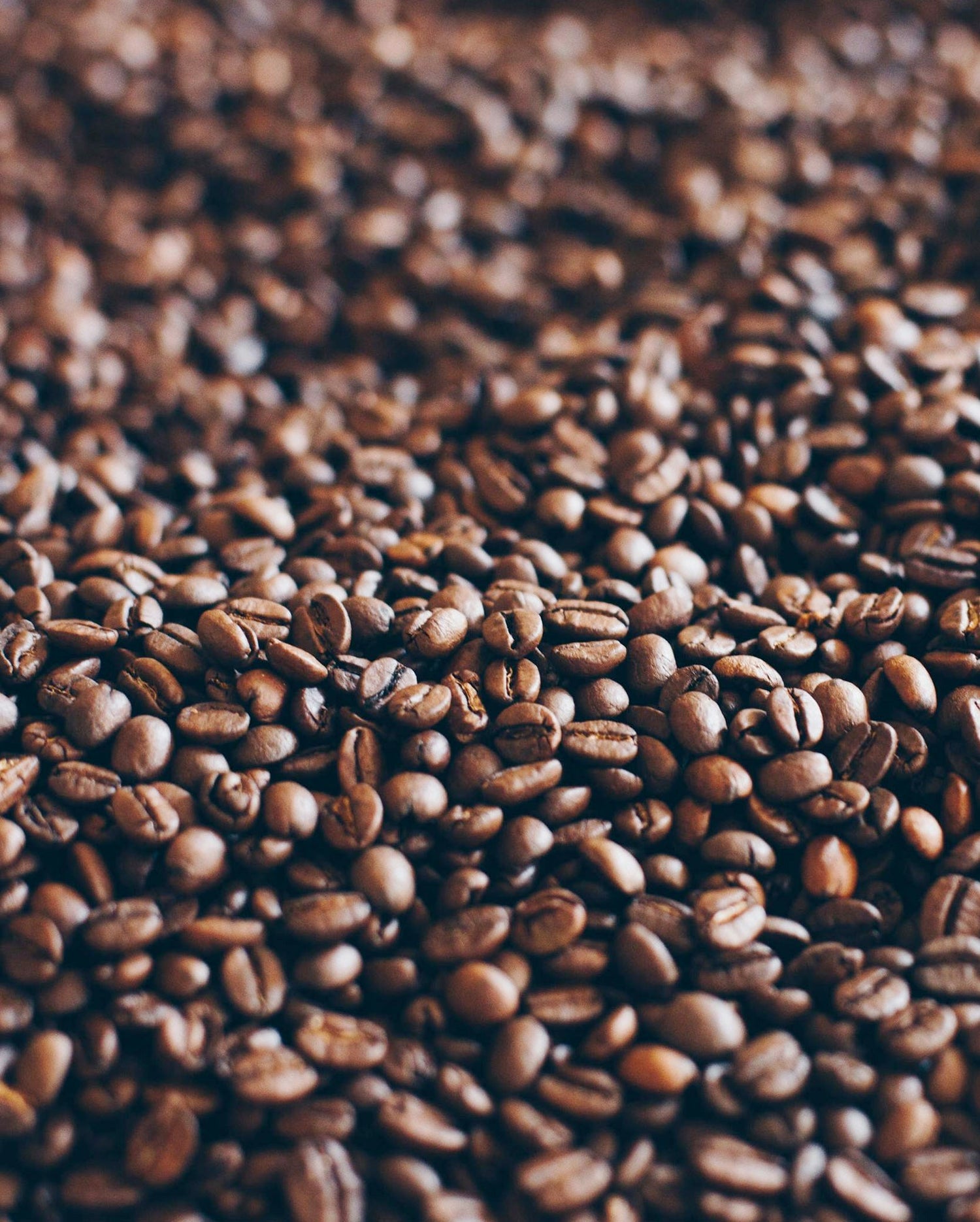 FRESHLY ROASTED COFFEE BEAN VANCOUVER